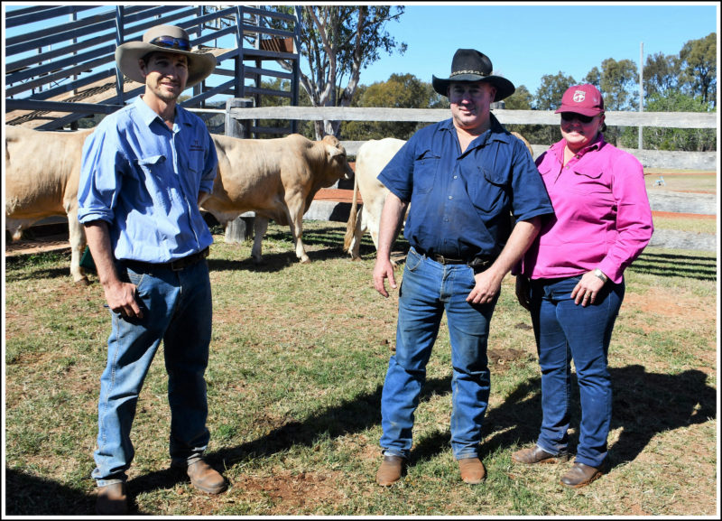 Paddock Sales - Boogal Cattle Co