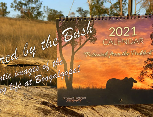 Calendar  2021   “POSTCARDS from the PADDOCK”