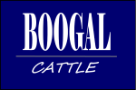 Boogal Cattle Co Logo